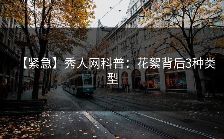 【紧急】秀人网科普：花絮背后3种类型