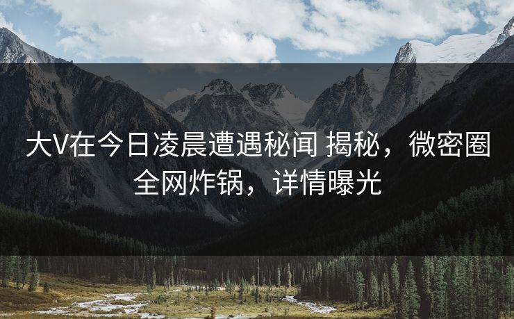 大V在今日凌晨遭遇秘闻 揭秘,微密圈全网炸锅,详情曝光 大V在今日凌晨遭遇秘闻 揭秘,微密圈全网炸锅,详情曝光