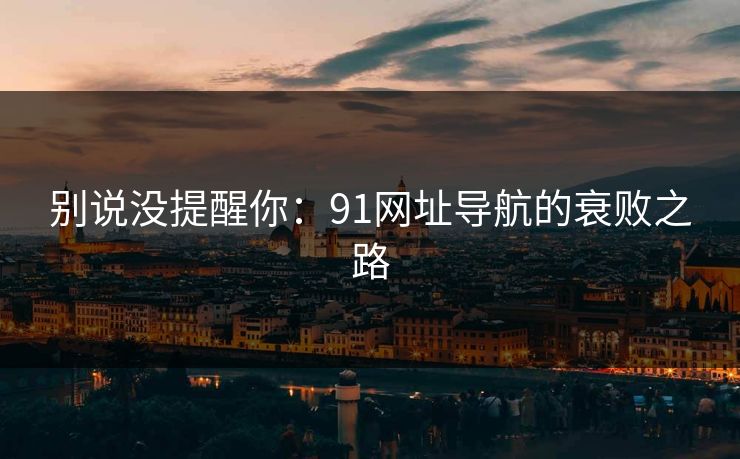 别说没提醒你：91网址导航的衰败之路