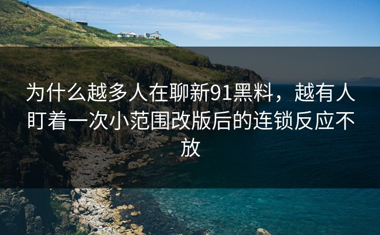 为什么越多人在聊新91黑料，越有人盯着一次小范围改版后的连锁反应不放